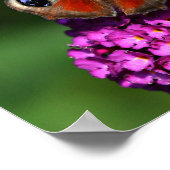 Poster rouge Papillon & Fleurs (Coin)