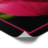 Poster Rouge Rose Bud Print (Coin)