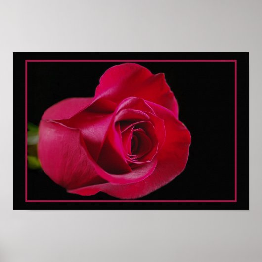 Poster Rouge Rose Bud Print (Devant)