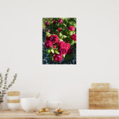 Poster rouge Rose Rose Nature Jardin (Cuisine)