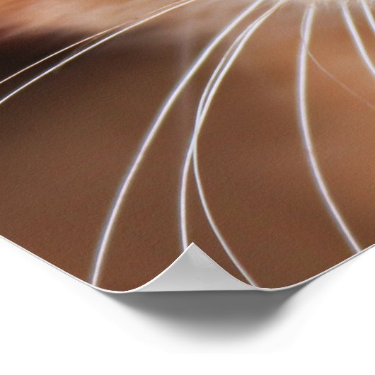 Poster Rouge Tabby Kitten (Coin)