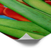 Poster Rouge tropical (Coin)