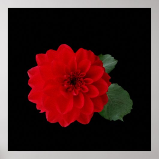 Poster rouge vif (Devant)