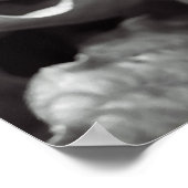 Poster rouge vu (Coin)