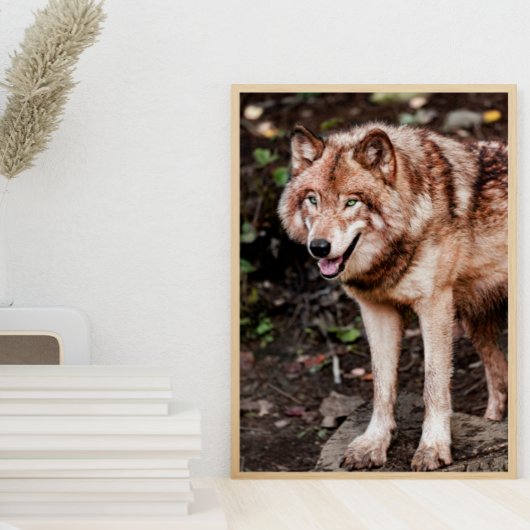 Poster Rouge Wolf Style Cabine Photo moderne