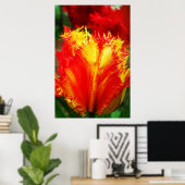 Poster Rouges Et Jaunes Grosse Tulipe À Courbe (Bureau à domicile)