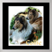 Poster Rough Collie Art Don (Devant)