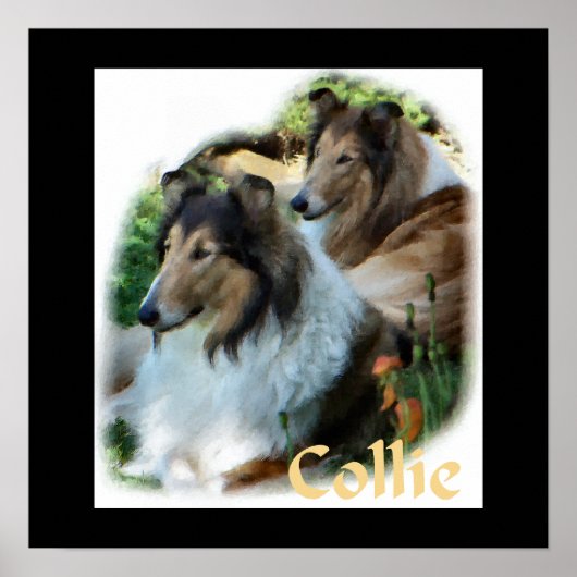Poster Rough Collie Art Don (Devant)