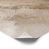 Poster Rough Collie Chien au vent 004 - Yacobsen Derosa (Coin)