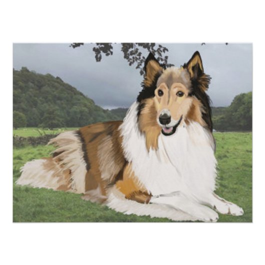 Poster Rough Collie contre les Yorkshire Dales (Devant)