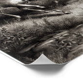 Poster Rough Riders : Colonel Theodore Roosevelt (Coin)