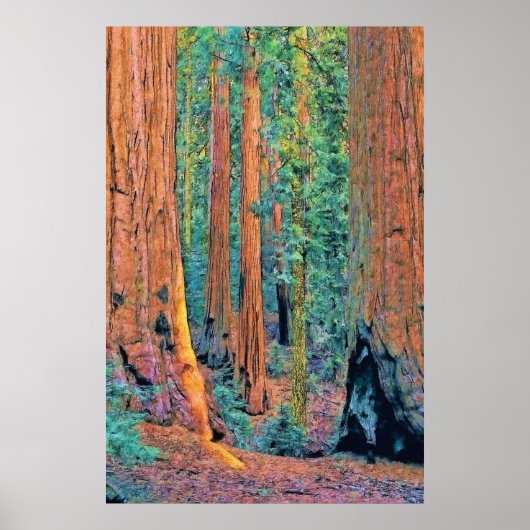 Poster roughtree faa24 (Devant)