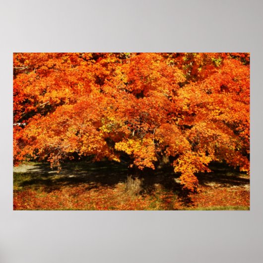 Poster Rouille d'automne (Devant)