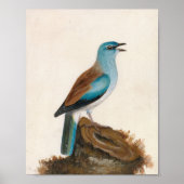 Poster Rouleau à grain | William Lewin (Devant)