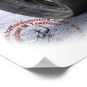 Poster Rouleau Ayesha 9R072D-161 (Coin)