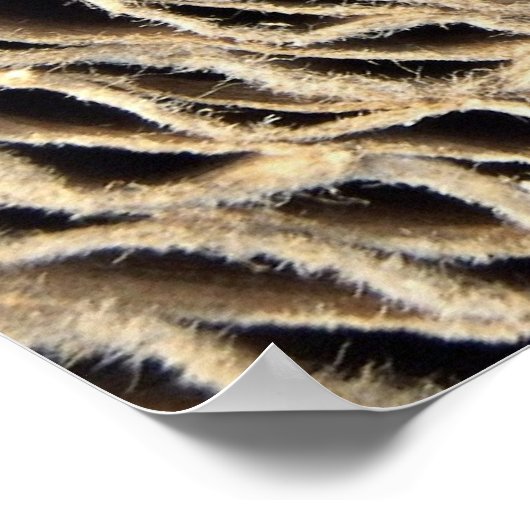 Poster Rouleau de papier ondulé (Coin)