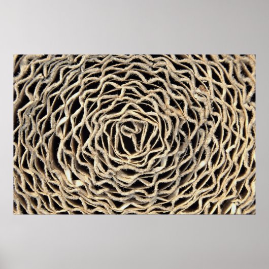 Poster Rouleau de papier ondulé (Devant)