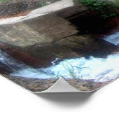 Poster Rouleau de tigre (Coin)