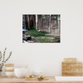 Poster Rouleau de tigre (Cuisine)