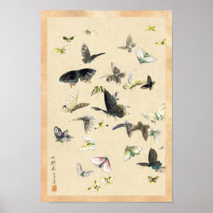 Poster Rouleau vintage japonais frais de papillon