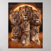 Poster Roulement de la nuit : Lions au clair de lune (Devant)