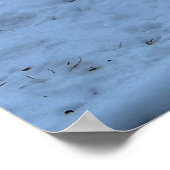 Poster Roulement du cheval blanc en hiver photo neige (Coin)