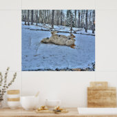 Poster Roulement du cheval blanc en hiver photo neige (Cuisine)