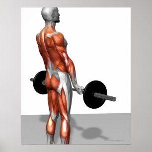 Poster Roumain Deadlift
