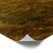 Poster Roumanie, Moldavie, église orthodoxe en bois (Coin)