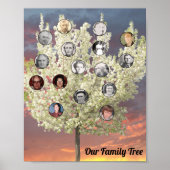 Poster Round Photos with White Blossom Tree and Sunset (Devant)