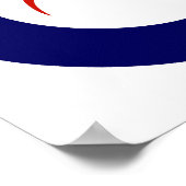 Poster Roundel de Nouvelle-Zélande (Coin)