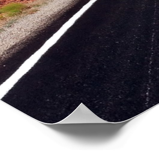 Poster Route 163 (Coin)