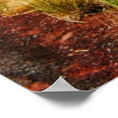 Poster Route à travers le parc national de Zion (Coin)