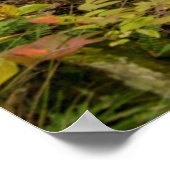 Poster Route À Vélo Sur Route Campagne (Coin)