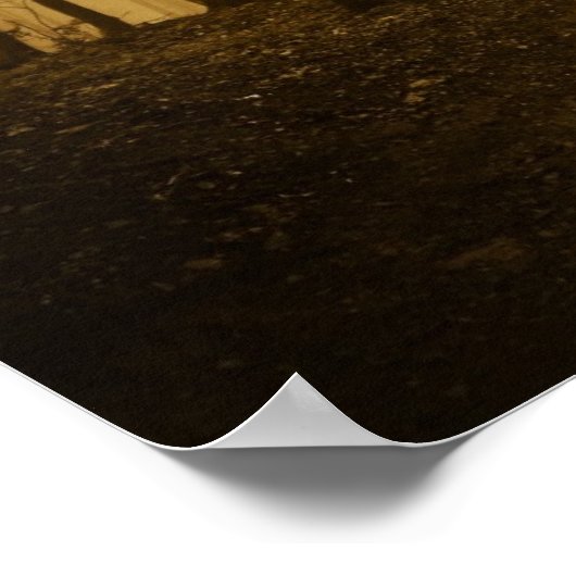 Poster Route dans une forêt sombre avec brouillard (Coin)