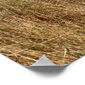 Poster Route de campagne (Coin)