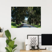 Poster Route de campagne bordée d'arbres (Bureau à domicile)
