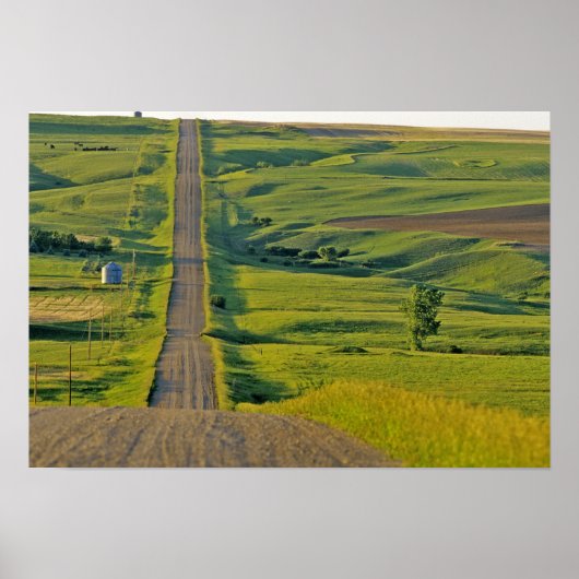 Poster Route de gravier de Comertown dans le nord-est élo (Devant)