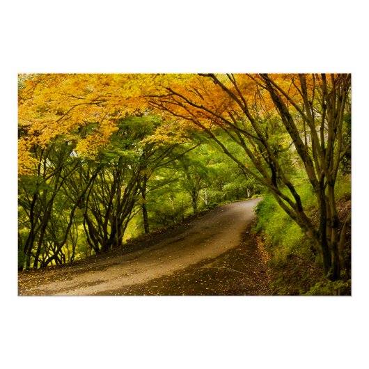 Poster Route de la campagne à l'automne (Devant)