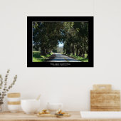 Poster "Route de la campagne bordée d'arbres" (Cuisine)