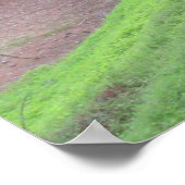 Poster Route de la forêt de pins (Coin)