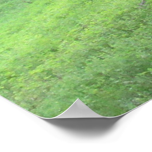 Poster Route de la Pine Forest (Coin)