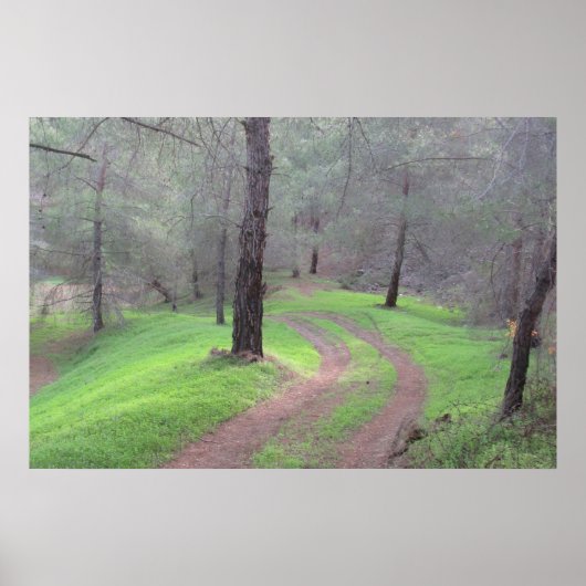 Poster Route de la Pine Forest (Devant)