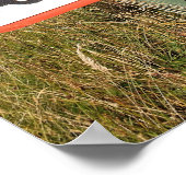 POSTER ROUTE DE MONTAGNE (Coin)