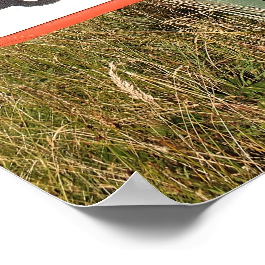 POSTER ROUTE DE MONTAGNE (Coin)