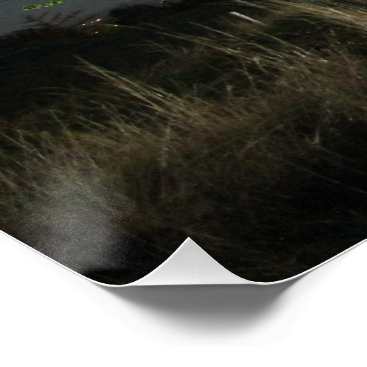 Poster Route de nuit (Coin)