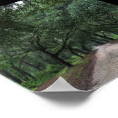 Poster route de santee (Coin)