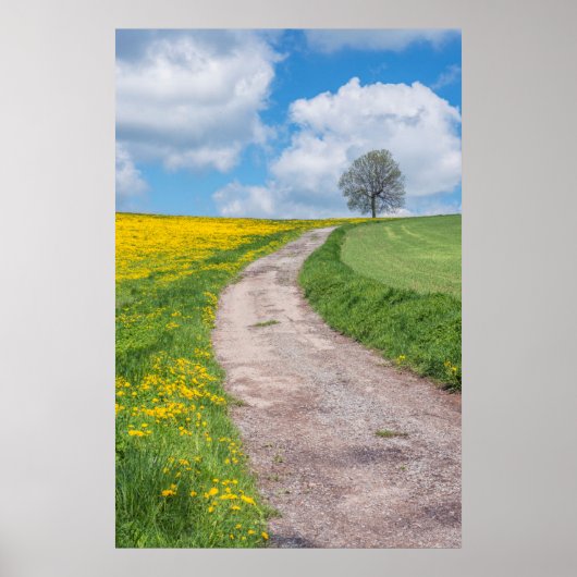 Poster Route de terre et arbre (Devant)