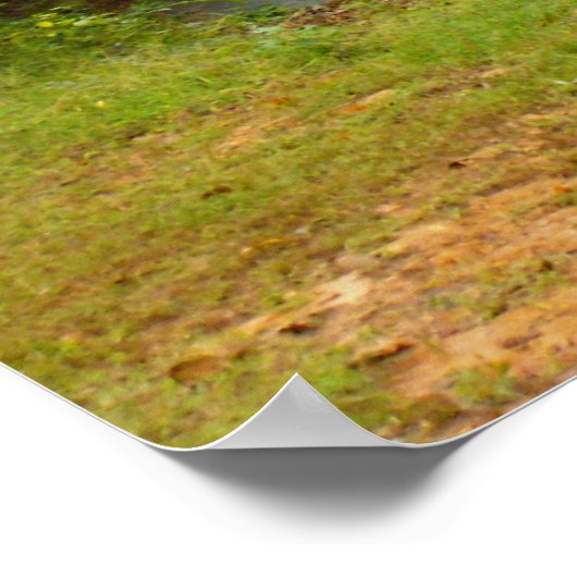 Poster Route de Winding (Coin)