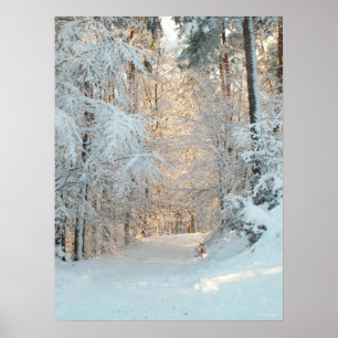 Poster Route d'hiver